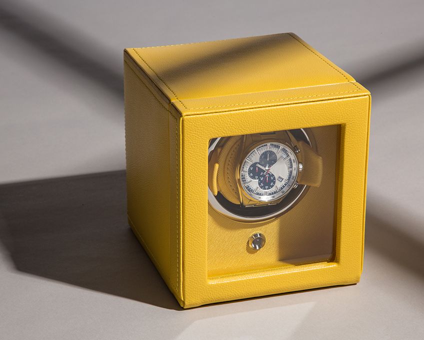 461192_cub_yellow